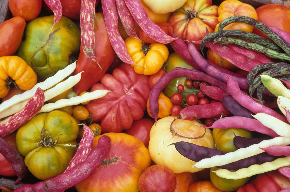 How to Store Your Harvest