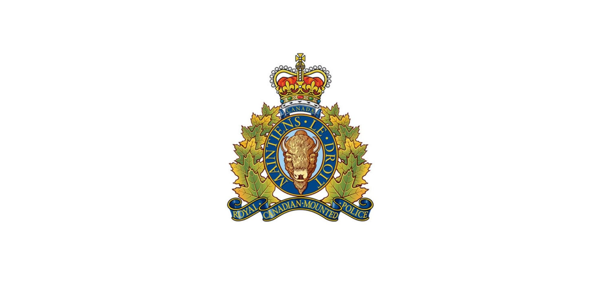 Updated: Lumsden RCMP investigating report of luring incident at Regina Beach
